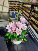 Storczyk silikonowy,Magnolia, Kompozycja wiosenna