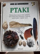 Ptaki Patrzę Podziwiam Poznaję