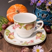 Niemiecka porcelana Winterling filiżanka i spodek wzór owoce
