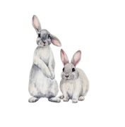Naklejka na ścianę Króliki 40x30 cm - dekoracja do pokoju dziecięcego