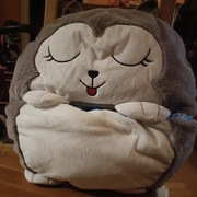 Śpiwór dziecięcy składany poduszka piesek husky