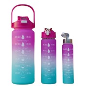 ZESTAW 3 BUTELEK NA WODĘ BIDONY 0.3L 1L 2L