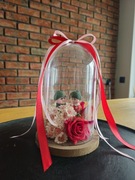 Kopułka klosz prezent dzień babci i dziadka