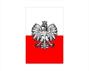 Naklejka FLAGA Polska godło na PÓŁ ADR 30x20cm w3
