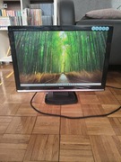 Monitor IIyama ProLite e2207ws 22 cale sprawny + kable