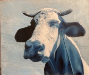 Obraz olejny 60x70cm krowa