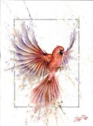 Obraz plakat akwarele ptak 30x40