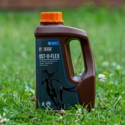 Foran Ost-o-Flex EQUKAMELA 1l