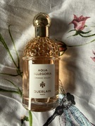 Aqua Allegoria Orange Soleia 75ml