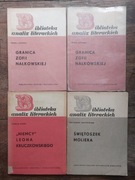 Biblioteka analiz literackich