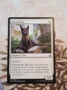 Sacred cat.     