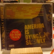 America Is Dying Slowly/ Wu-Tang, De La Soul, Fat Joe, Mobb Deep, Sadat X..