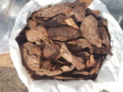 Kora sosnowa sortowana GRUBA 5-15cm 30 szt / DAIMEX