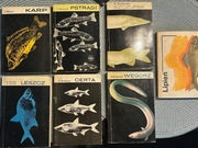 Karp, pstrąg, lipień, szczupak, certa, leszcz, węgorz