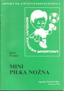 Podręcznik dla nauczycieli - mini piłka nożna