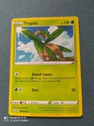 Pokemon tcg 005/072