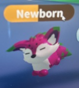 Adopt me Dragonfruit fox (normal)