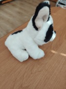 Maskotka piesek mopsik 