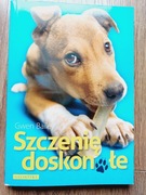 Szczenię doskonałe Gwen Bailey