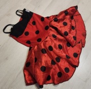 strój biedronka biedronki sukienka nr 771