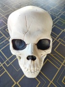 Dekoracyjna czaszka ludzka.