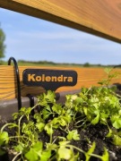 Personalizowane etykiety do ziół i warzyw