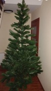 Sztuczna choinka 240-250