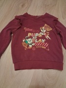 4 bluzy, dla dziewczynki 98/104, 3 że skay Psi Patrol