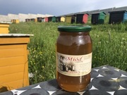 Miód Lipowy 2025. z Gór Świętokrzyskich