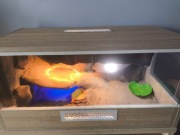 Nowe terrarium dla żółwia lądowego 80x40x40 cm + lampa UV i grzewcza|Rybnik