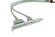 Śledź USB 2.0 + FireWire (IEEE 1394) do płyty głównej