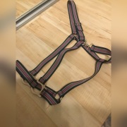 Kolorowy kantar cob „KANTARY KONIARY”