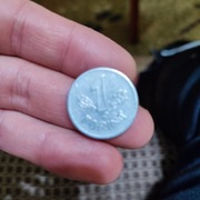 WĘGRY  1 forint z 1969 roku   nie zwlekaj! Zobacz 