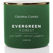 Świeca sojowa Evergreen Forest