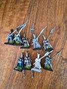 Phoenix guard, metal, oop, wzór feniks i sam gem na hełmie