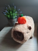 Kapibara Podłużna z Jabłkiem Słodki Pluszak Maskotka Prezent