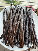 Wanilia Bourbon, laski wanilii 1kg