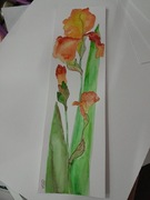 Akwarela oryginał irysy