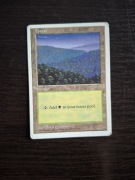 Forest. Magic The Gathering 