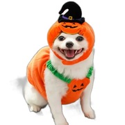 Halloweenowe kostiumy dla psów Zabawna latarnia z dyni Strój transformacyjn