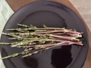 Świeże pędy chmielu dzikie, a’la szparagi, 50szt.