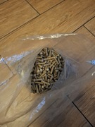 Nit stalowy 6x24 kulisty DIN 660 10szt