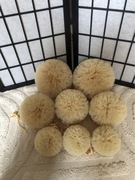 20 cm, Pompon tiulowy, złoty, gęsty, sztywny tiul