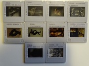 Slajdy 10 szt. obrazy i rzeźba z jakiegoś muzeum MALARSTWO RZEŹBA nr. 13