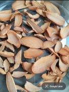 Mielona pestka avokado 25-100g Najtaniej