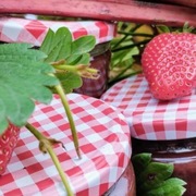 Dżem rabarbarowo - truskawkowy, niskosłodzony    300g  {3,50zł/100g}