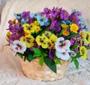 Bukiet okolicznościowy