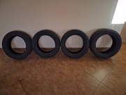 Opony zimowe Nokian Wr D4 205/55 R16 