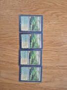 MTG Windswept Heath feltch land