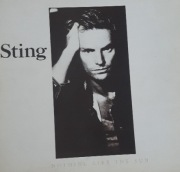 Sting płyta winylowa